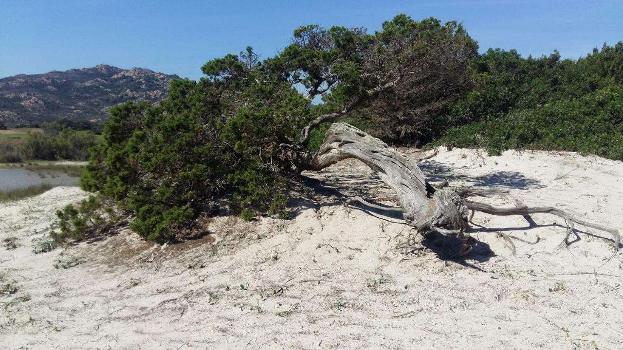 Villa Le Ginestre La Caletta Εξωτερικό φωτογραφία